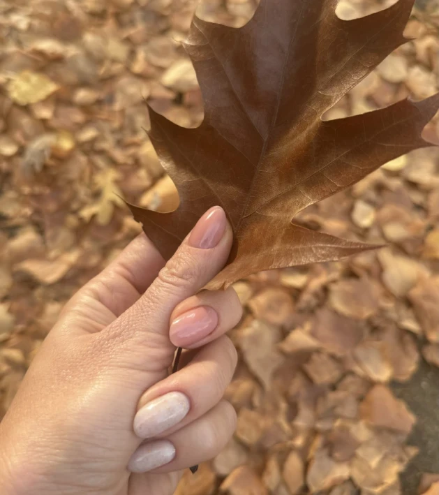 Архитектура и боядисване на вежди - Reservation.Studio Архитектура и боядисване на вежди - Reservation.Studio