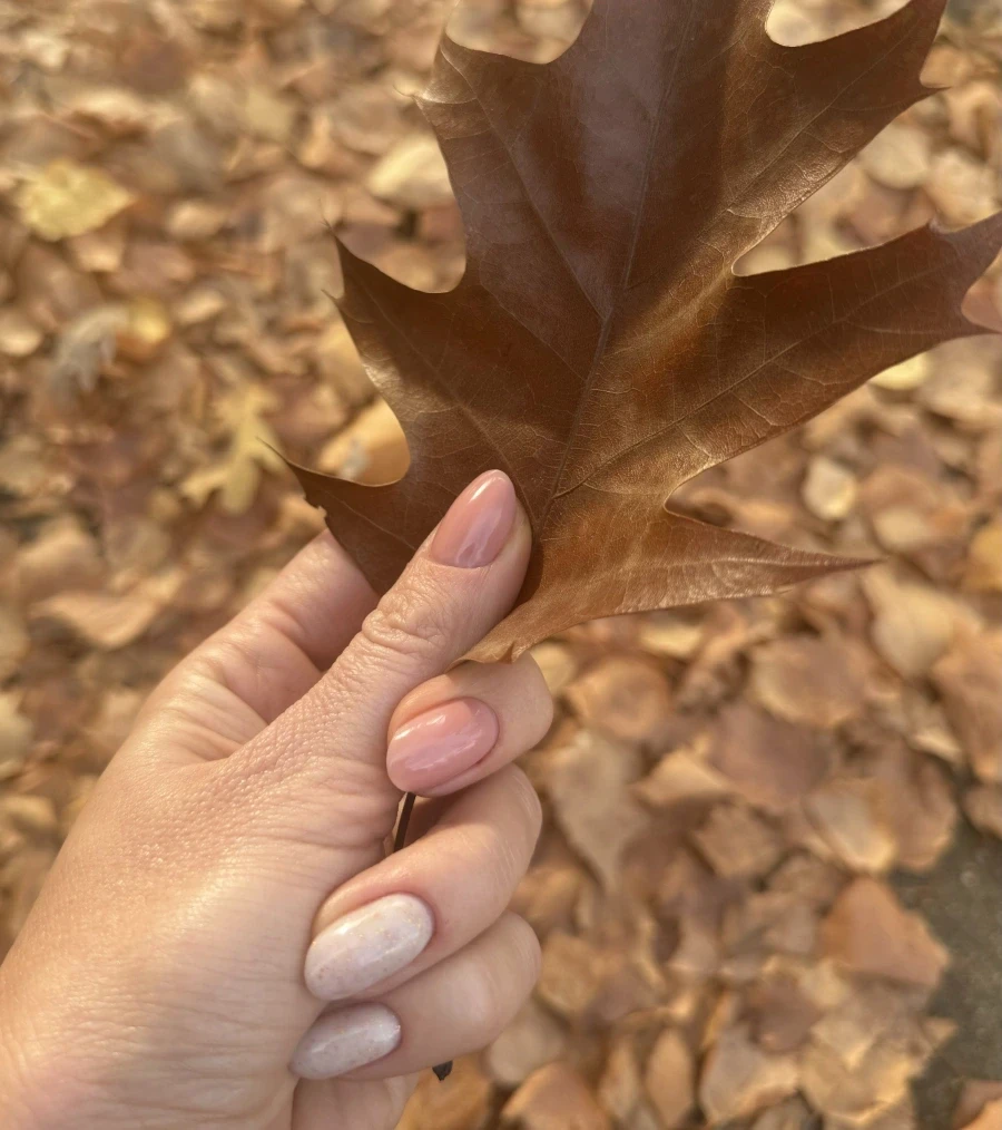 Архитектура и боядисване на вежди - Reservation.Studio