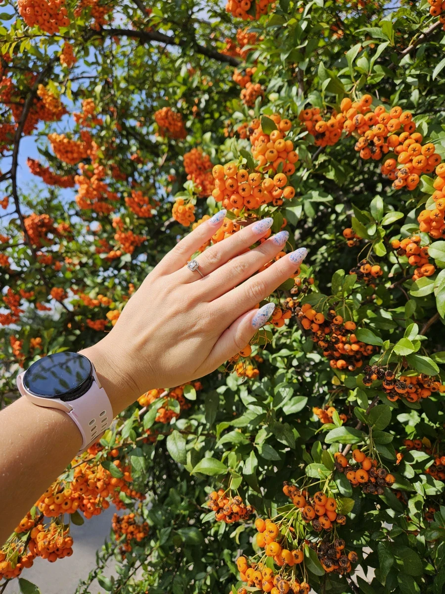 Маникюр с гел лак - Reservation.Studio Маникюр с гел лак - Reservation.Studio