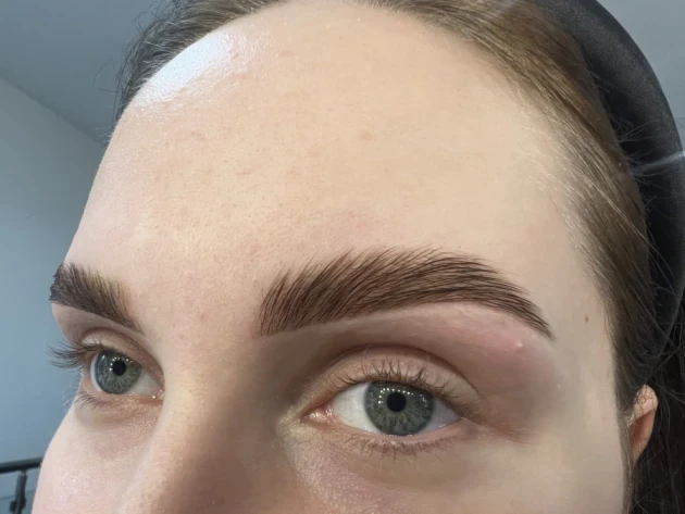 Архитектура и боядисване на вежди - Reservation.Studio