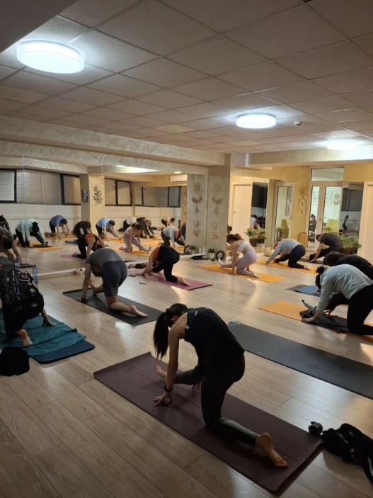 Виняса Флоу Йога -динамичен йога клас