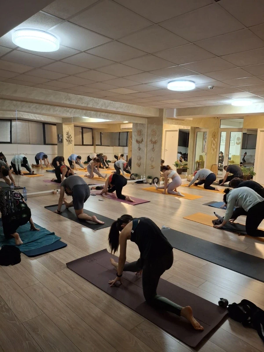 Виняса Флоу Йога -динамичен йога клас - Reservation.Studio