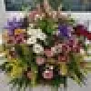 https://cdn.reservation.studio/media/14180/conversions/picture-avatar.webp?v=1735510334