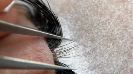 Lash by Tomova Lash by Tomova