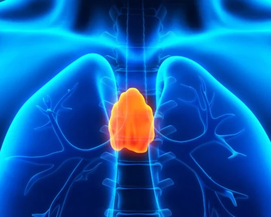 Класическа Йога