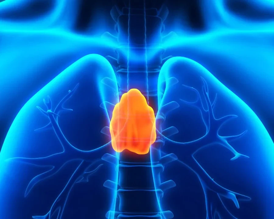 Класическа Йога - Reservation.Studio