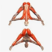 Хатха Йога Хатха Йога