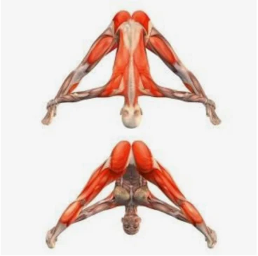 Хатха Йога Хатха Йога