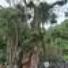 https://cdn.reservation.studio/media/18183/conversions/picture-avatar.webp?v=1746129007