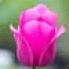 https://cdn.reservation.studio/media/20954/conversions/picture-avatar.webp?v=1753512751