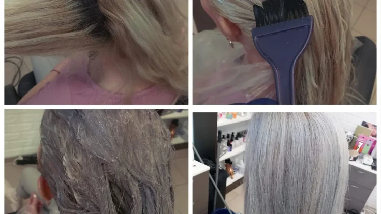 Боядисване с боя Subrina professional