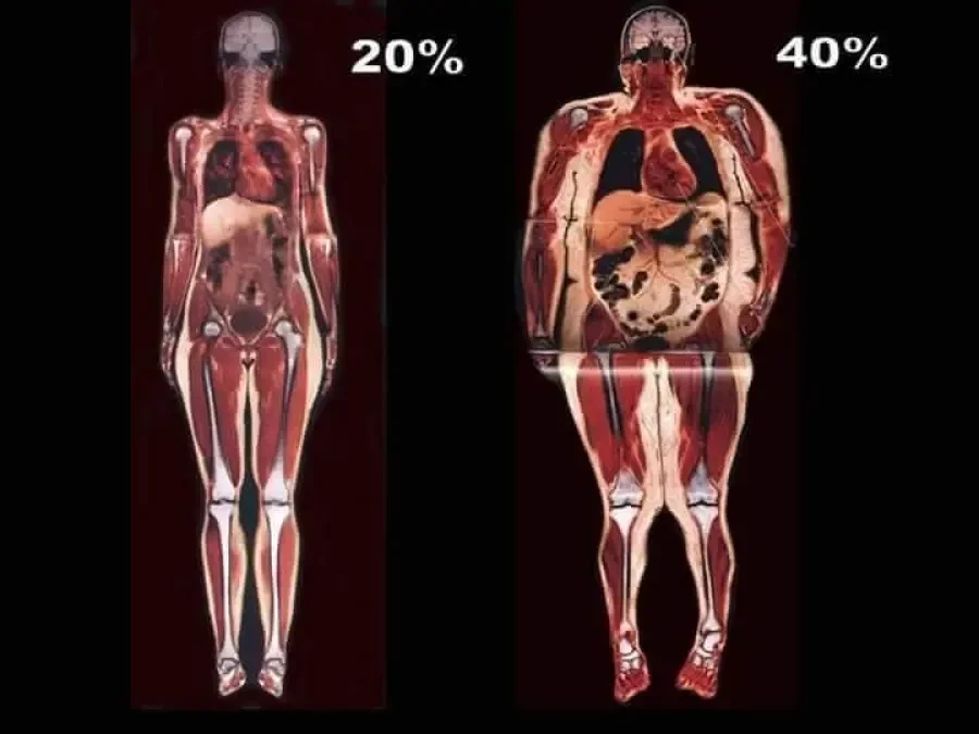 Body analysis with TANITA - Reservation.Studio