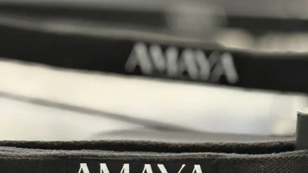 AMAYA Pilates Reformer AMAYA Pilates Reformer
