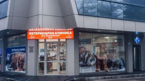 Ветеринарна клиника "д-р Коджабашев" Ветеринарна клиника "д-р Коджабашев"