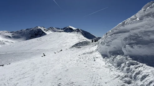 Todorovi Forest Suites