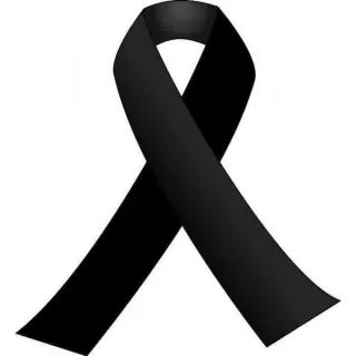 https://cdn.reservation.studio/media/51539/conversions/profilepic-avatar.webp?v=1790608149