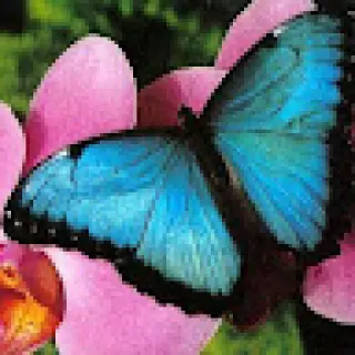 https://cdn.reservation.studio/media/53069/conversions/ACg8ocLeYzqDYg9OW5IP0d8JaGD9ywkJJU8YwtwqPDxgTM7Icbg89QEl=s96-c-avatar.webp?v=1792417048