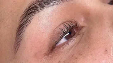 Lash/Brow Bar